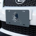 Dalton State College Secondary Logo Novelty Metal Vanity Tag License Plate