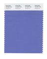 Pantone Smart 18-3935x Color Swatch Card Wedgewood 