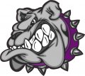 Stickertalk Purple Bulldog Sticker 4 5 Inches By