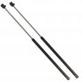 Qty 2 Strongarm 4257 Fits 300m Intrepid 1998 To 2004 Hood Lift Supports 
