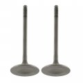 Caltric 2 Intake Valves Compatible With Suzuki King Quad 700 700cc 4x4 Lt-a700x Lta700x 2005 2006 2007