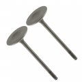 Caltric 2 Intake Valves Compatible With Suzuki King Quad 700 700cc 4x4 Lt-a700x Lta700x 2005 2006 2007