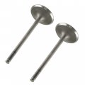 Caltric 2 Intake Valves Compatible With Suzuki King Quad 700 700cc 4x4 Lt-a700x Lta700x 2005 2006 2007