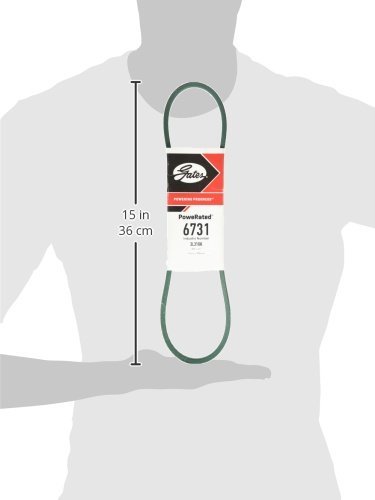 Gates 6731 Powerated Belt