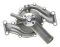 Gates 42562 Water Pump 
