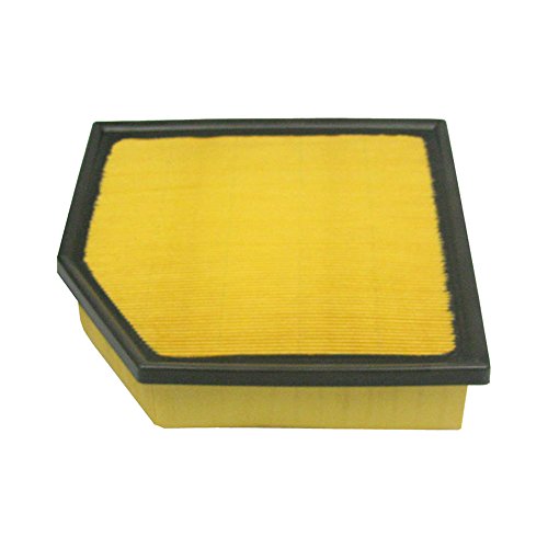 Ecogard Xa6103 Premium Engine Air Filter Fits Lexus Gs350 Is250 Rx350 Is200t Is350 Rc350 Is300 Rc200t Rc300 Gs460 Gs200t Gs450h