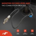 A-premium O2 Oxygen Sensor Compatible With Hyundai Santa Fe 2001-2004 Sonata 1999-2005 Kia Optima 2001-2006 Downstream Replace