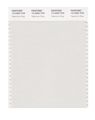 Pantone Smart 12-4302x Color Swatch Card Vaporous Gray 