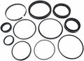 Lift Cylinder O H Kit 