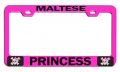 Maltese Princess Girly Pn Steel Auto Suv License Plate Frame Tag Holder 