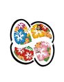 Treefrog Lucky Leaf Aloha Squash X Scent Hawaii Llsqx08 Japan Jdm Hanging Air Freshener 1 Box 24 Piece 