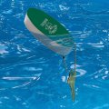 Graphics More Nw Missouri Sate Bearcats Floating Keychain Oval Foam Fishing Boat Buoy Key Float