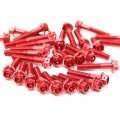 Autobahn88 Motorcycle Engine Bolt Dress-up Kit Compatible With Honda Cb1000r 2018-2020 Red Set Of 25