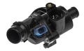 Mahle Original Tm3100 Map-controlled Thermostat 