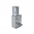 Xuulan Xianglaa-motor Dc Worm Drive Reduction Gear Motor Low Speed For Diy Gearmotors Jgy370 Gearmotor 12v 6v 24v Wide Range Of