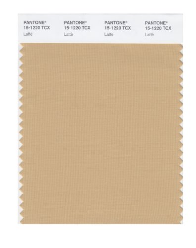 Pantone Smart 15-1220x Color Swatch Card Latta
