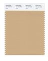 Pantone Smart 15-1220x Color Swatch Card Latta 