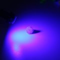 Grandview Super Bright 80 Lumens T10 Wedge 194 168 2825 175 192 W5w Blue High Power 1206 10-smd Led Lights Bulb License Plate
