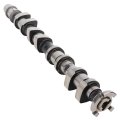 Engine Camshaft Exhaust For 2009 Chevy Aveo Aveo5 And Pontiac G3 Replaces Oe 55561748 Cp1695