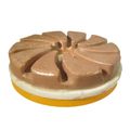 Tenax Snail Lock Edge Polishing Disc 4 Inch 1200 Grit 