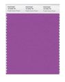 Pantone 18-3250 Nylon Brights Color Swatch Card 
