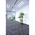 Feit Electric T4819 Ledif 41k Direct Wire Led Fluorescent Tube Replacement Frost 4100k 4 Foot Light Bulb Bright White