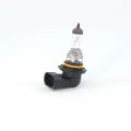 Ge 9006bp2 Capsule 