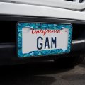Dolphin Sunglasses Underwater Ocean Diving Pattern License Plate Tag Frame