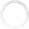 Bulb Fluor Cir Ww 4pn 12in 32w