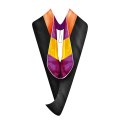 Gradwyse Engineering Master Hood M Eng Graduation Degree Various College Colors Available Orange Purple Gold 