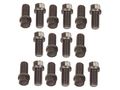 Mr Gasket 919g Header Bolt Set 