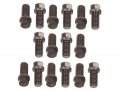 Mr Gasket 919g Header Bolt Set