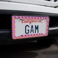 Fruit Party Cherries Grapes Lemons License Plate Tag Frame
