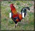 Barnyard Rooster Double Toggle Switchplate Switch Plate Cover 