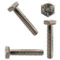 1 2-13 X 4-1 2 Hex Head Cap Screw Bolts External Drive Stainless Steel 18-8 Full Thread Bright Finish Flat Point Quantity 5