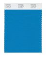 Pantone 17-4436 Nylon Brights Color Swatch Card 