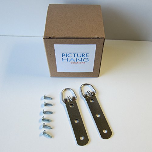 100 Heavy Duty Large Strap Hanger 3 Hole D-ring