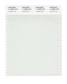 Pantone Smart 11-4804x Color Swatch Card Lightest Sky 