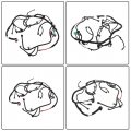 Wflnhb 6 0l Diesel Engine Wiring Harness Replacement For Ford Super Duty F250 F350 F450 F550 2005-2007 5c3z-12b637-ba