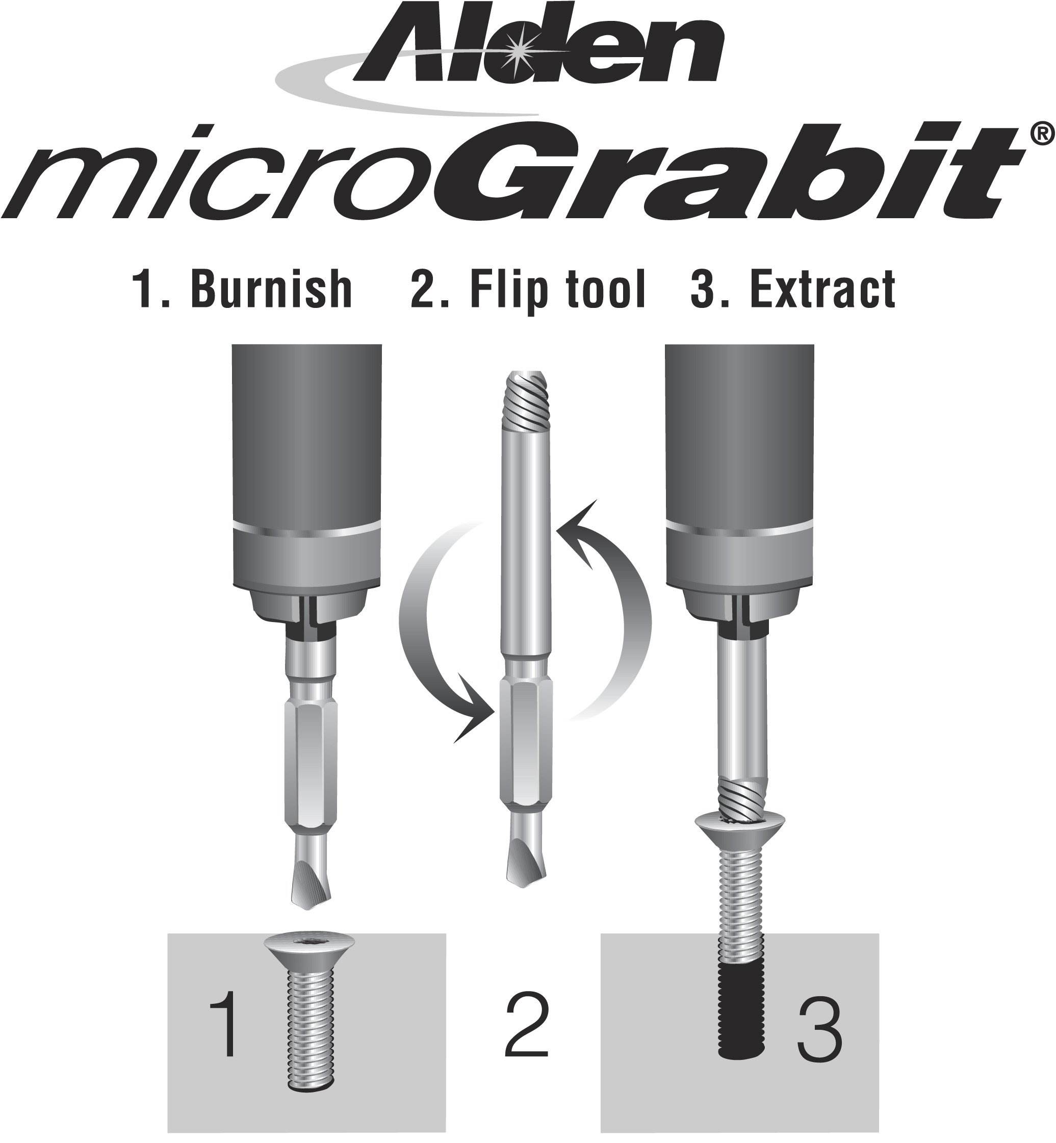 Alden 1007p 10 Piece Master Extractor Kit