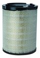 Donaldson P527484 Air Filter Primary 