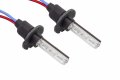 Diode Dynamics Replacement D2h Hid Bulbs Pair 8000k 
