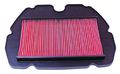Hiflofiltro Hfa1605 Premium Oe Replacement Air Filter 