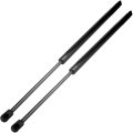 19 05 Lift Supports Gas Springs Struts Shocks 6124 Pm3017 Sg214056 Strut Fit For Chrysler Town Country 2008-2015 For Dodge 