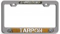 Happiness Is Catching Tarpon Fishing Ch 3d Metal License Plate Frame Auto Suv Truck Tag Holder J39 