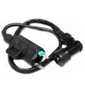Ignition Coil For Kawasaki Bayou 220 Klf220 1988 2002 Recon 250 Sportrax Part Numbers 21121-1198 21121-1160 21121-1229 