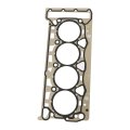 Gaskets Piston And Ring Set Replacement For Tt 2008-2010 