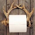 Antler Toilet Paper Holder 