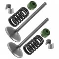 Caltric 2x Intake Valve Kit For Yamaha 33d-12111-00-00 33d-12113-00-00 3ld-12118-00-00