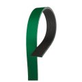 V Ribbed Serpentine Belt For Dodge D150 D250 D350 1990 1991 1992 1993 Reinforced Epdm Rubber 8 Rib 81 57 In Effective Length 
